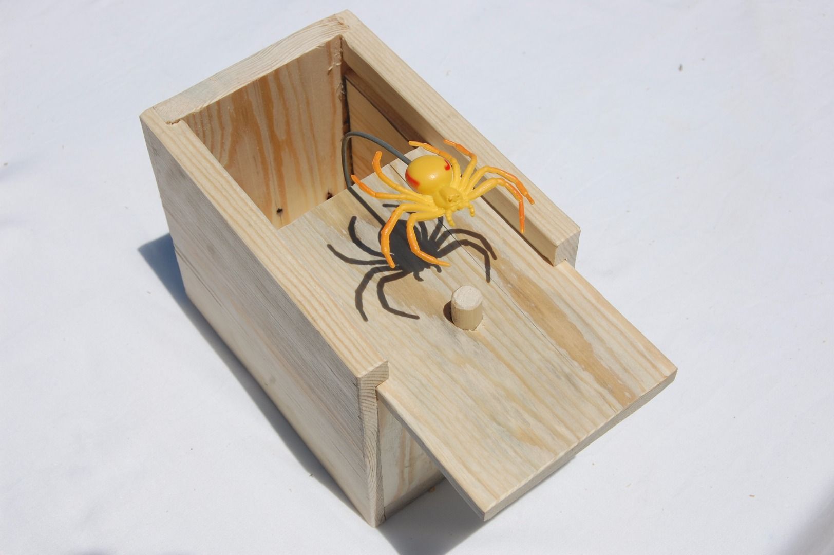 Spider Box 11 Steps (with Pictures) Instructables