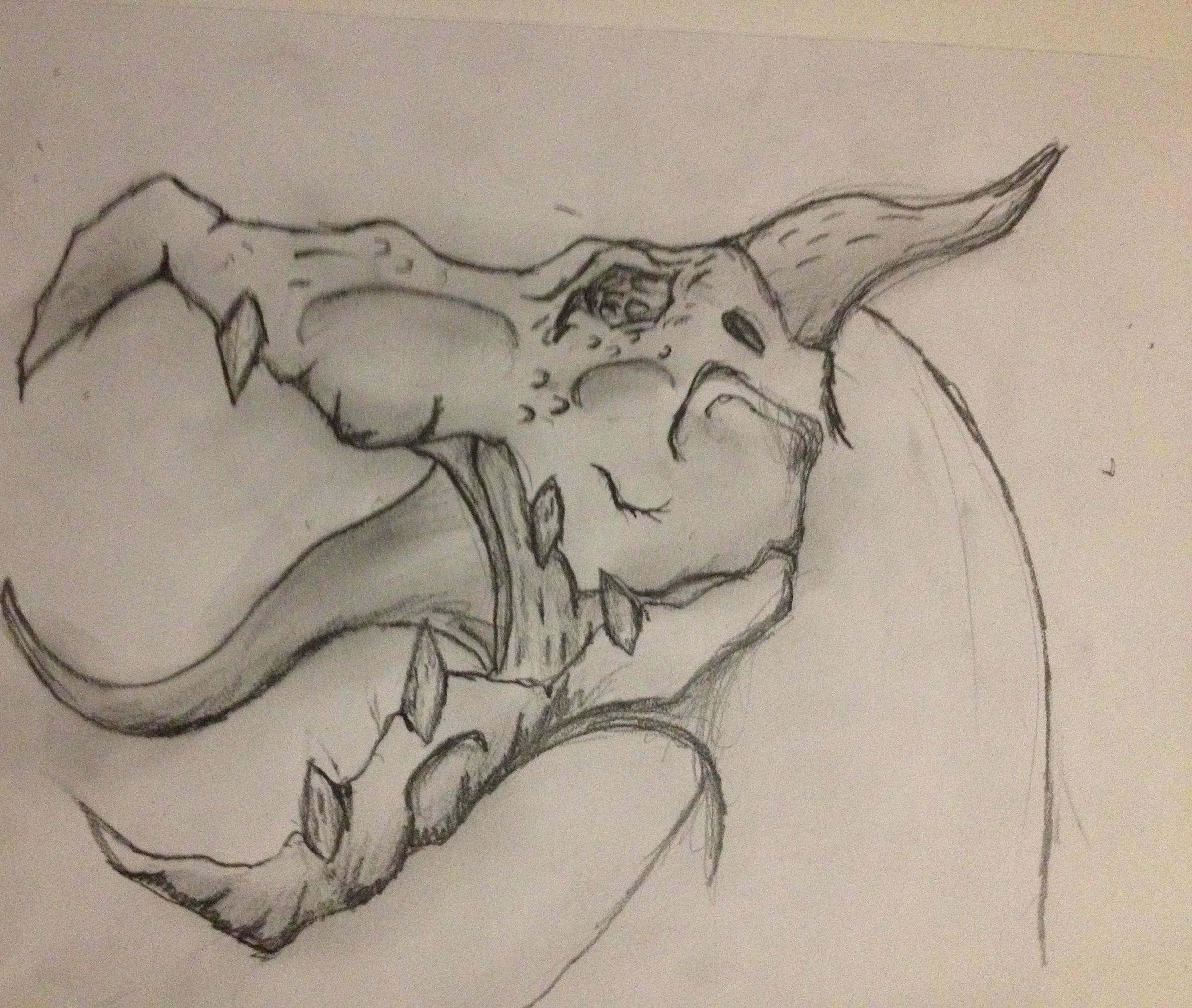 DIY guide for Dragons - Part 1 the Head with step-by-step instructions