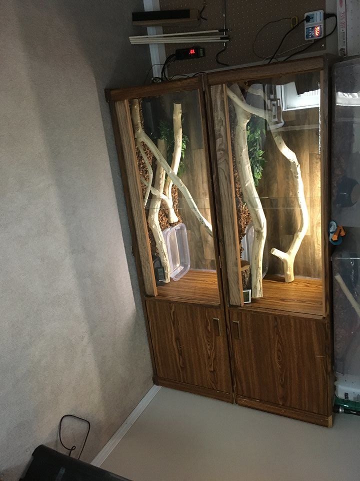 Favorite Tips About How To Build A Python Cage - Spellquestion