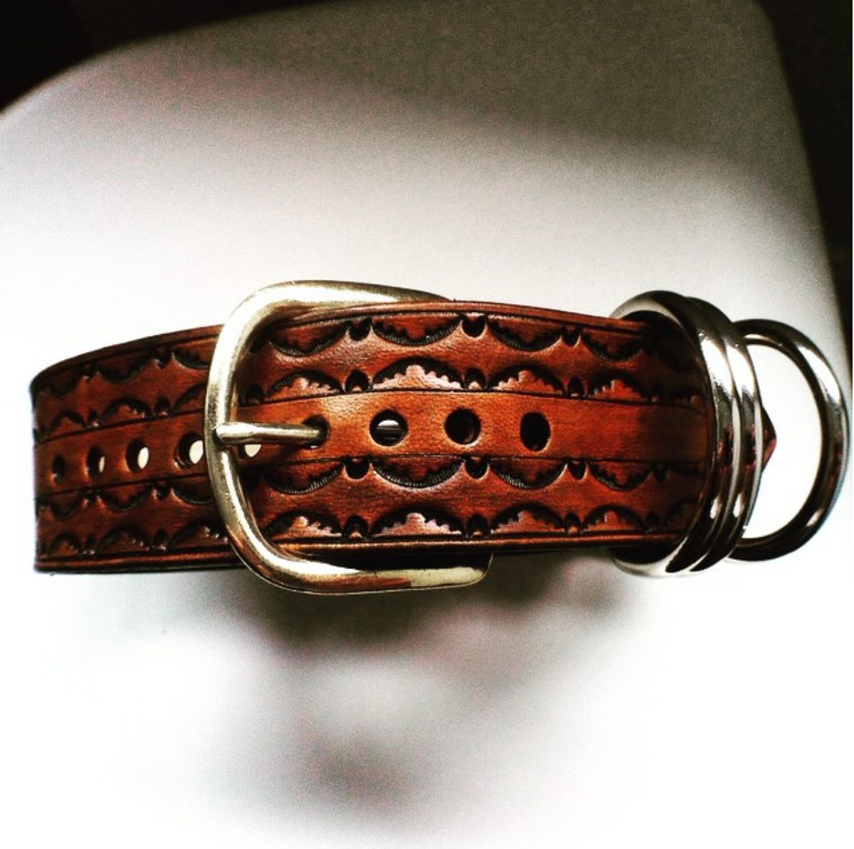 dog collars leather