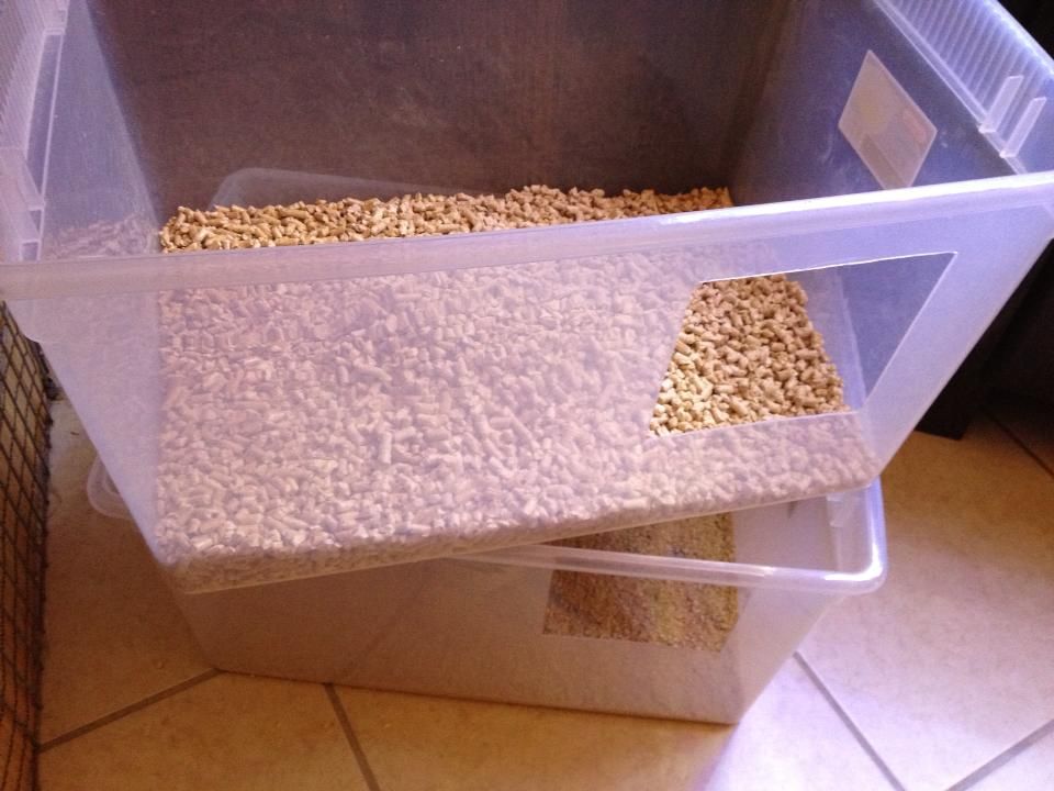 can you flush pine litter