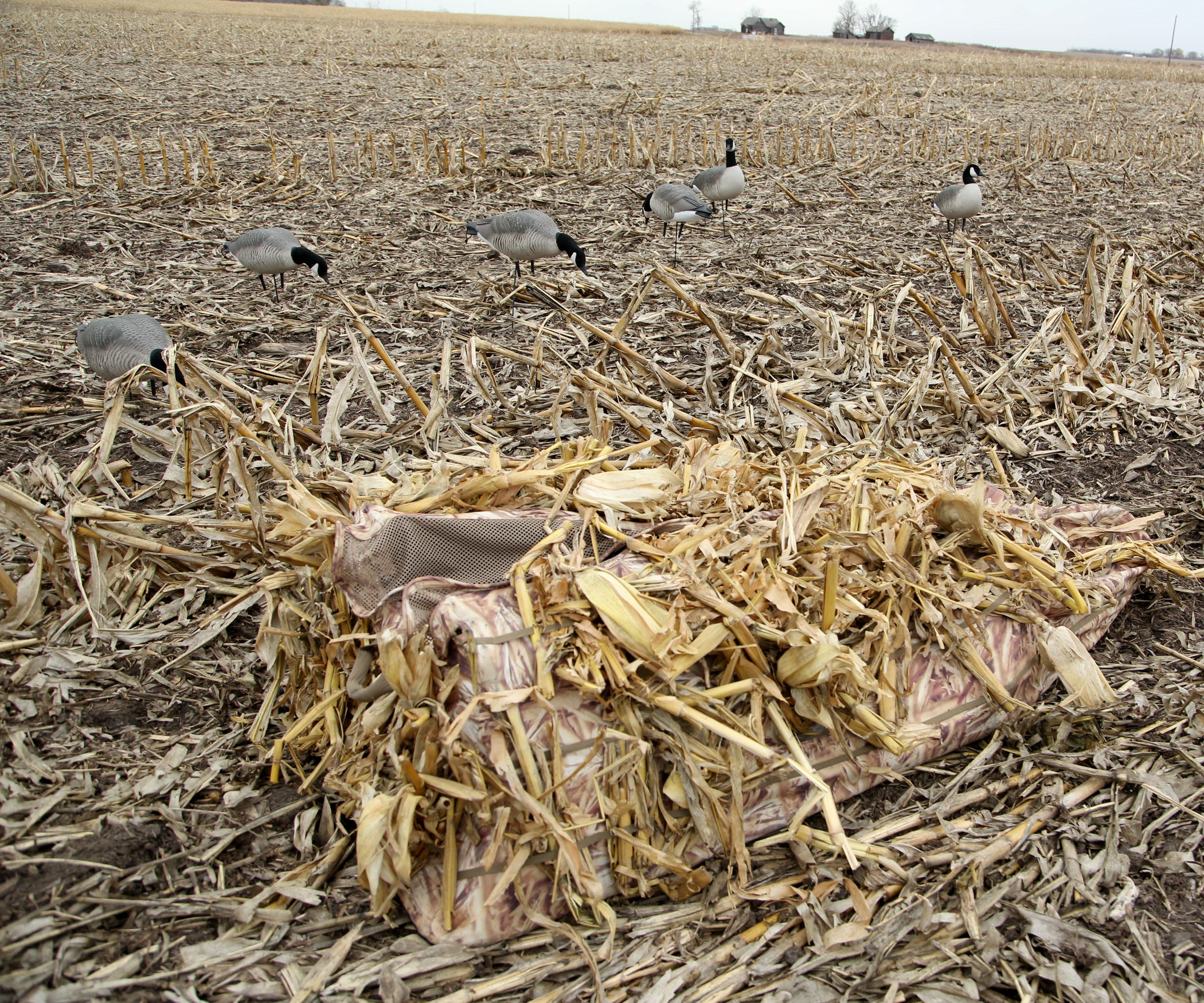 How to Set Up Goose Decoys 7 Steps Instructables