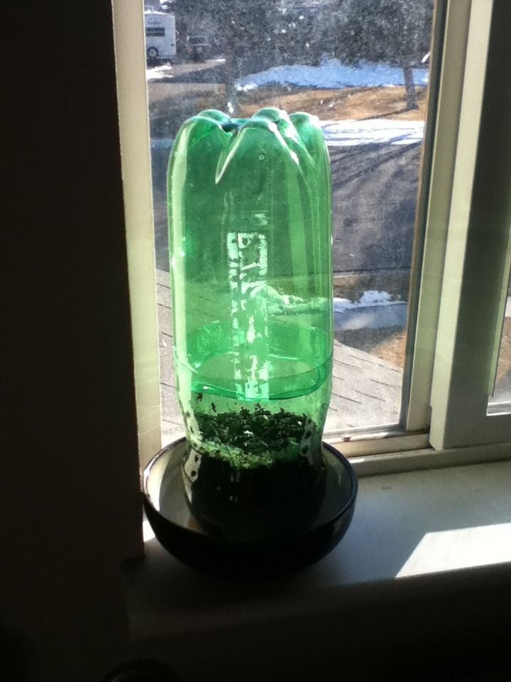 Soda Bottle Greenhouse 8 Steps Instructables