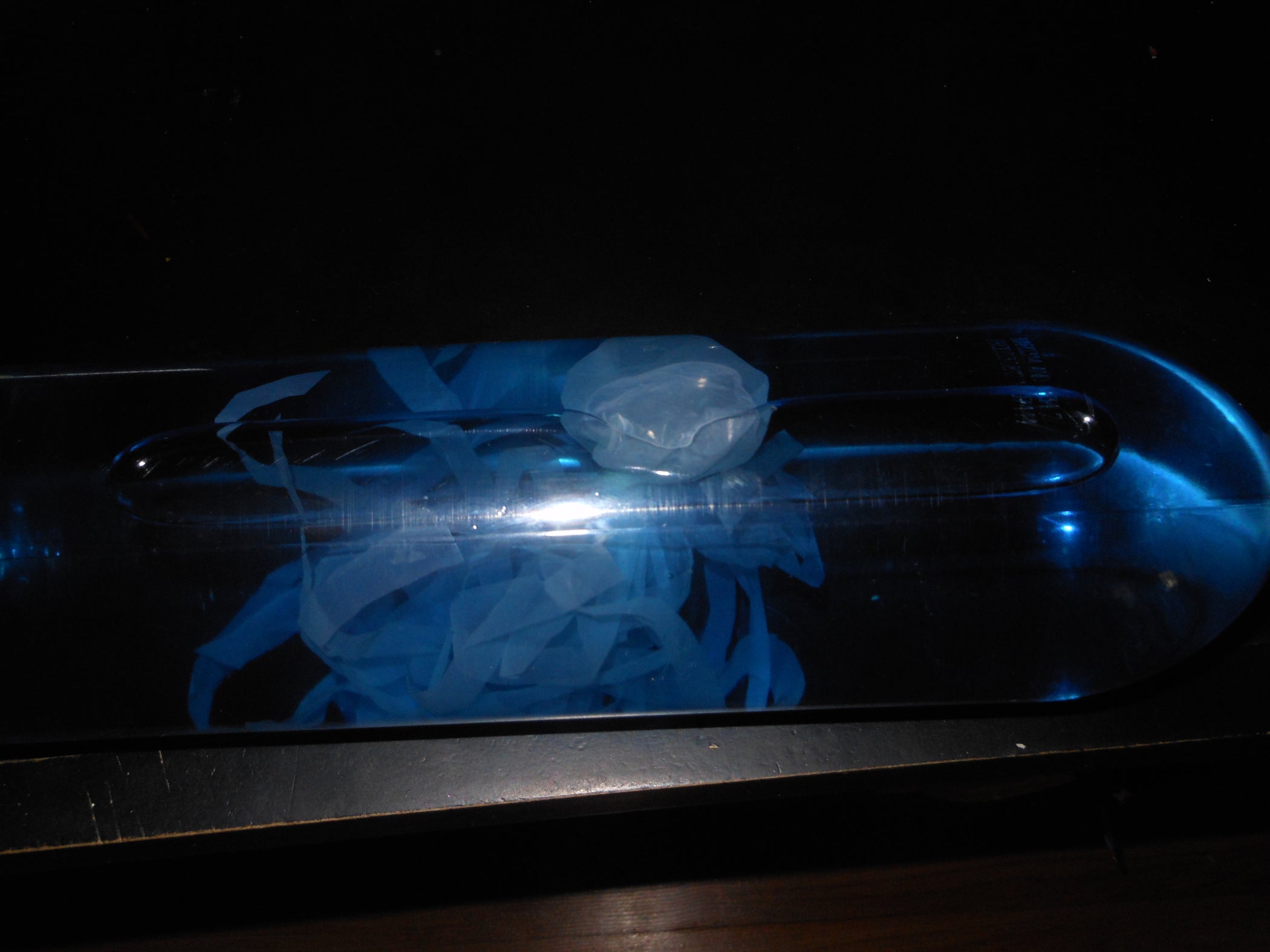 How to Make a Jellyfish in a Bottle 13 Steps Instructables