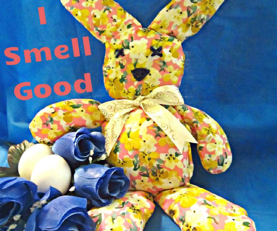 "I Smell Good" Mr. Bunny 4 Steps (with Pictures) Instructables