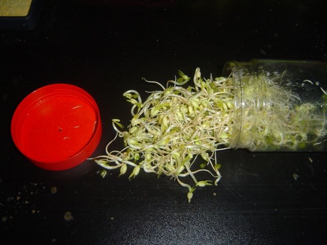 DIY guide for Modular Hydroponics - Sprouter Modification with step-by-step instructions