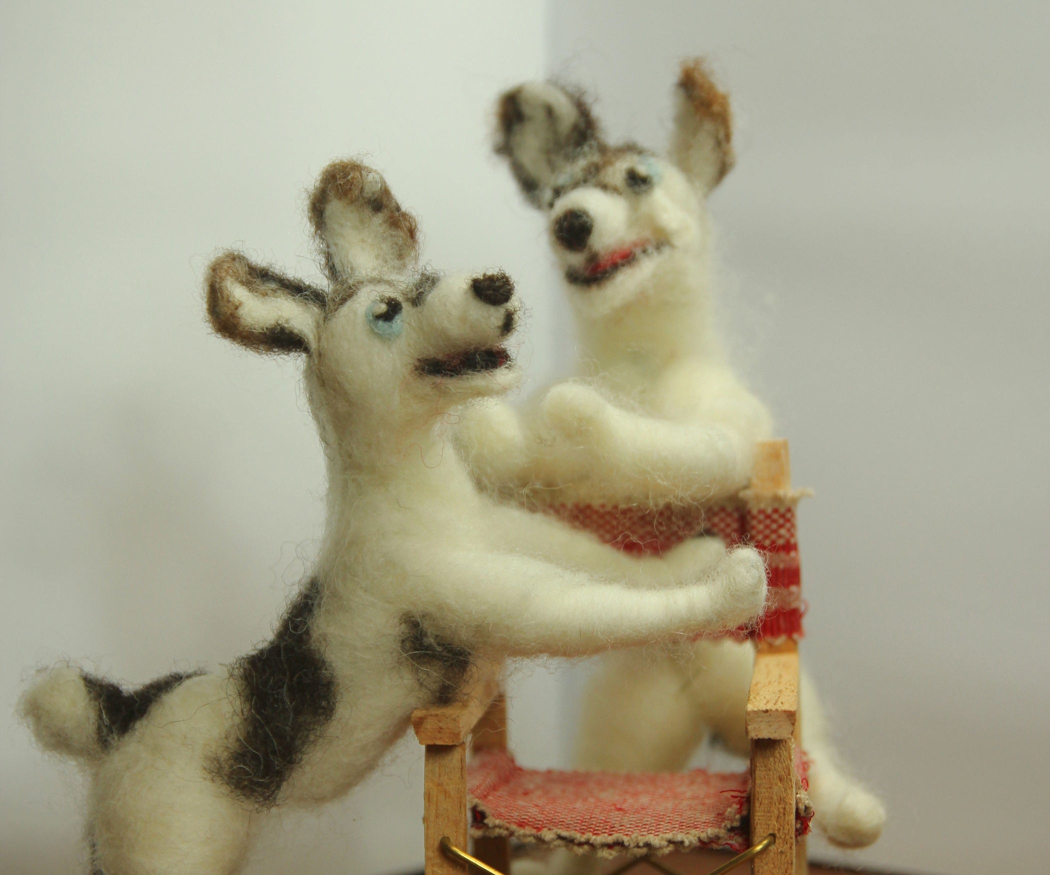 Stop Motion Needlefelted Dog Character 6 Steps (with Pictures