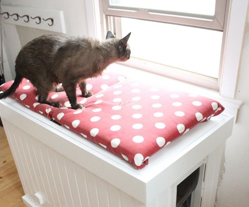 cat box bench