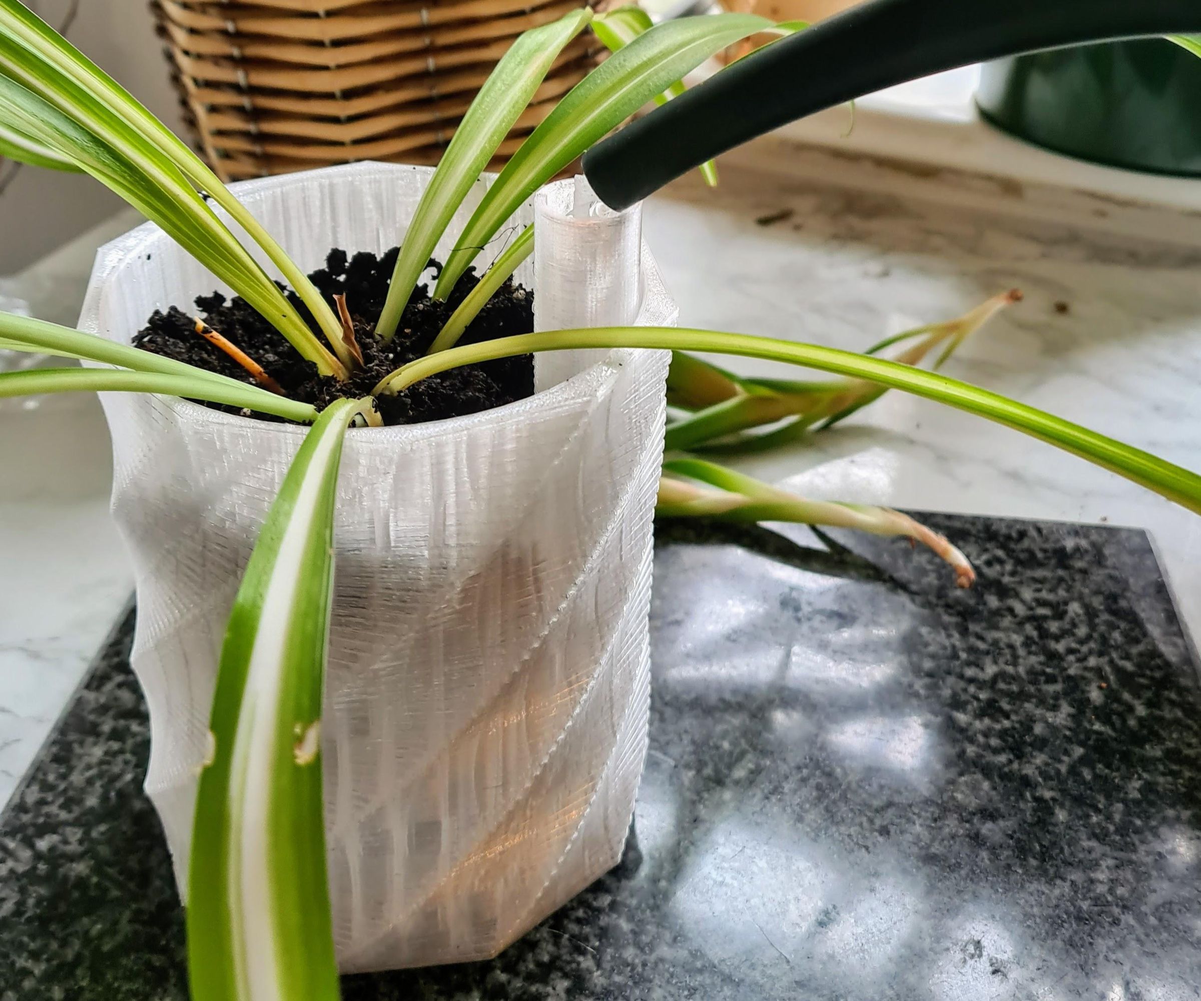 Design Your Own 3D Printable Self Watering Planter (Tinkercad Tutorial)