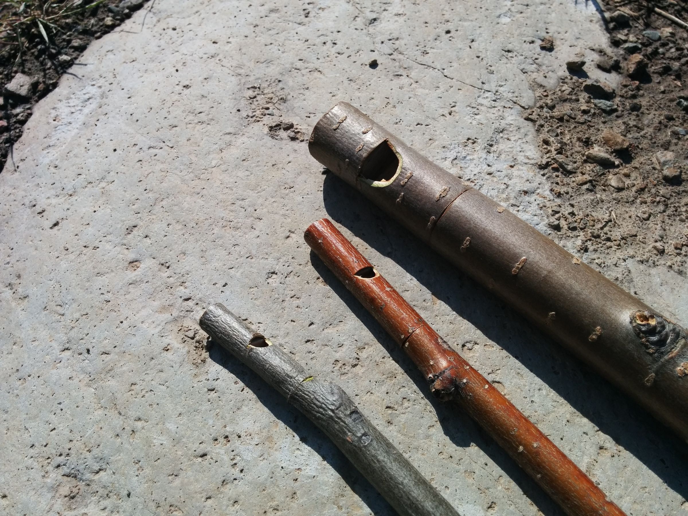 Stick Bark Whistle 10 Steps (with Pictures) Instructables