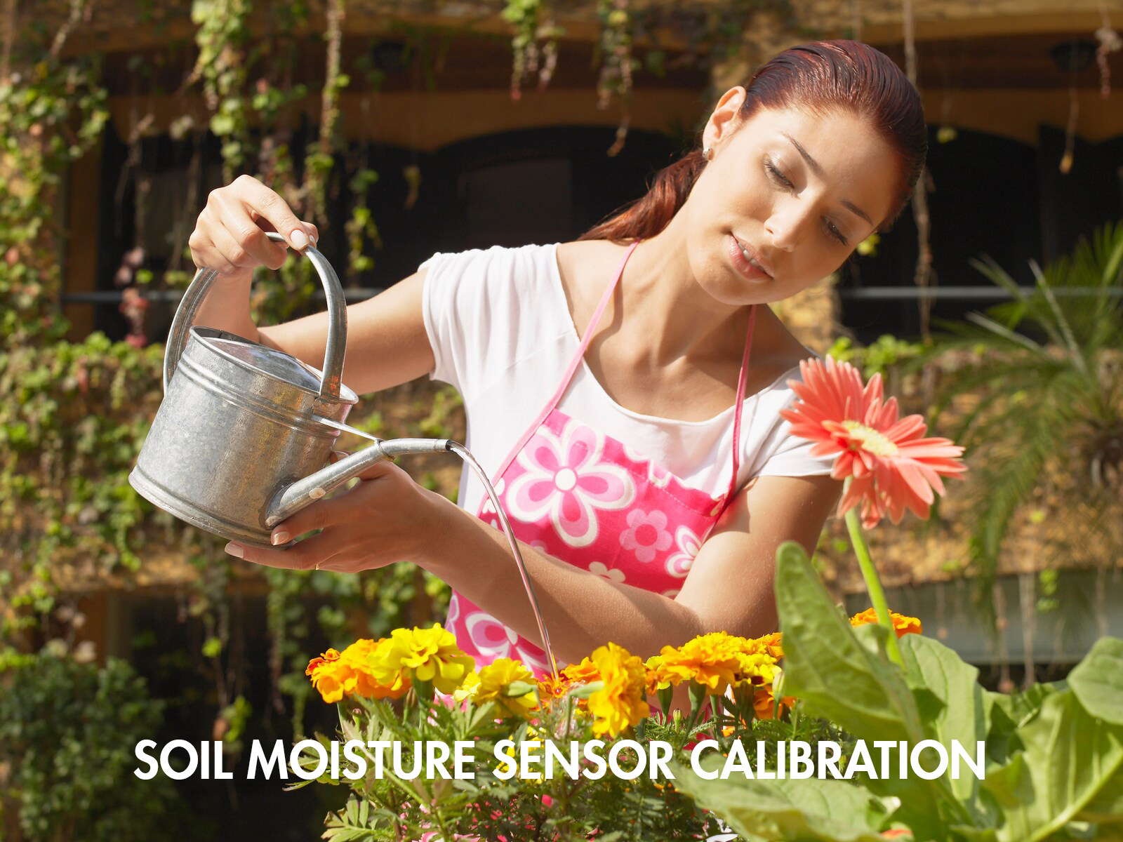 Soil Moisture Sensor Calibration 5 Steps Instructables