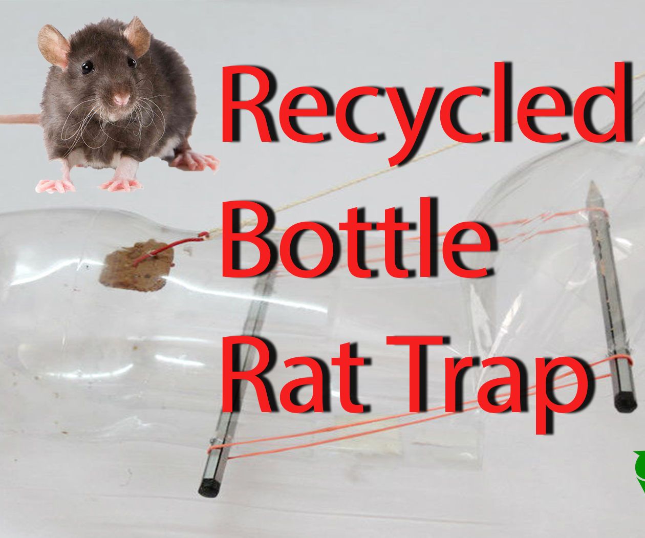 RECYCLED BOTTLE RAT TRAP 13 Steps (with Pictures) Instructables