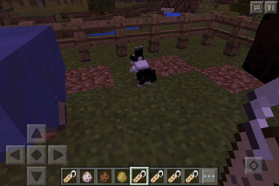 Minecraft Nametag Secrets 4 Steps Instructables Minecraft Nametag Secrets 4 Steps Instructables