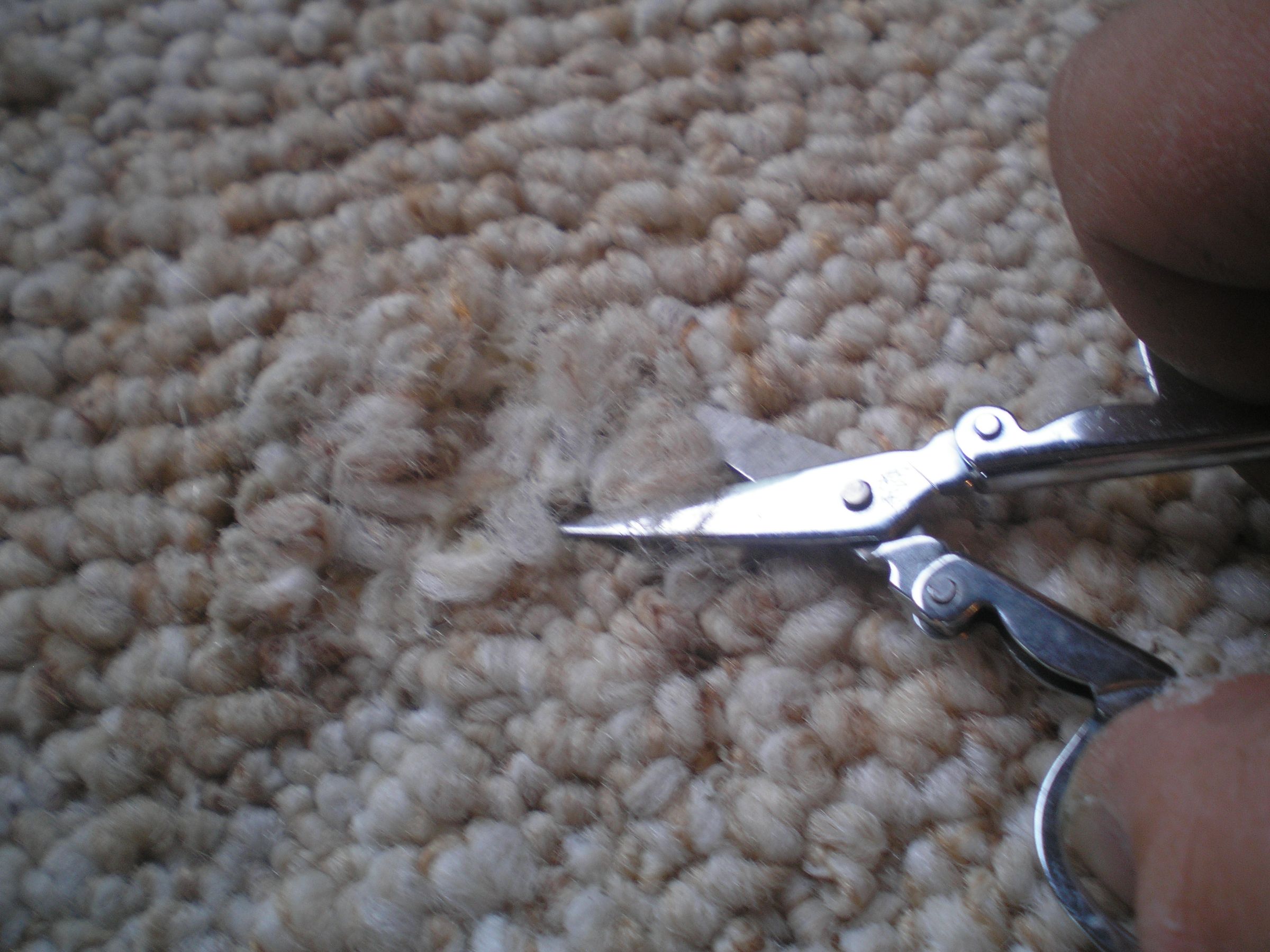 Repair Cigarette Burns on Carpet 4 Steps (with Pictures) Instructables