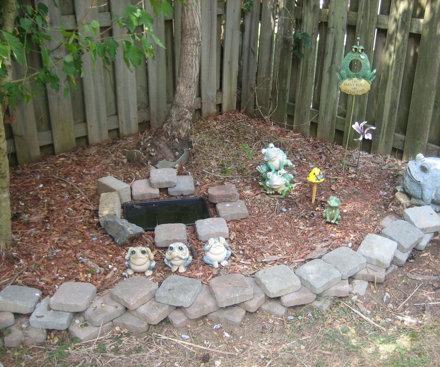 My Frog Toad Habitat 8 Steps Instructables My Frog Toad Habitat 8 Steps Instructables