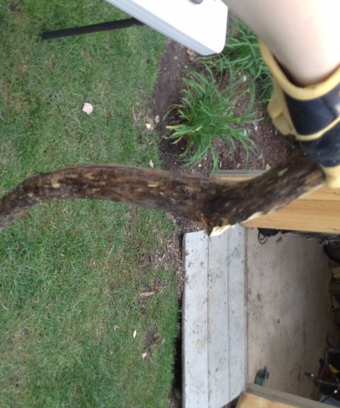 Walking Stick 8 Steps (with Pictures) Instructables