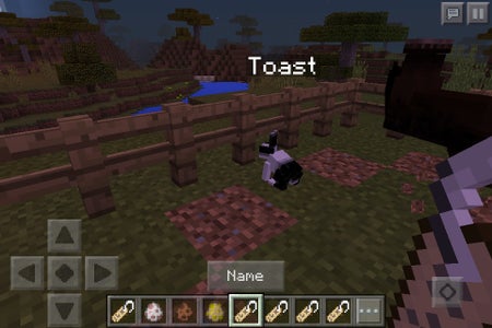 Minecraft Nametag Secrets 4 Steps Instructables Minecraft Nametag Secrets 4 Steps Instructables