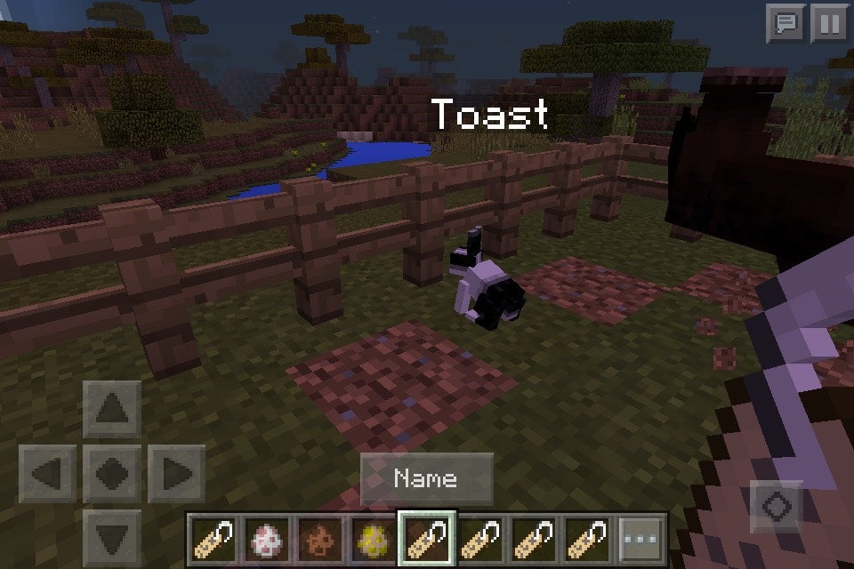 Minecraft Nametag Secrets 4 Steps Instructables Minecraft Nametag Secrets 4 Steps Instructables