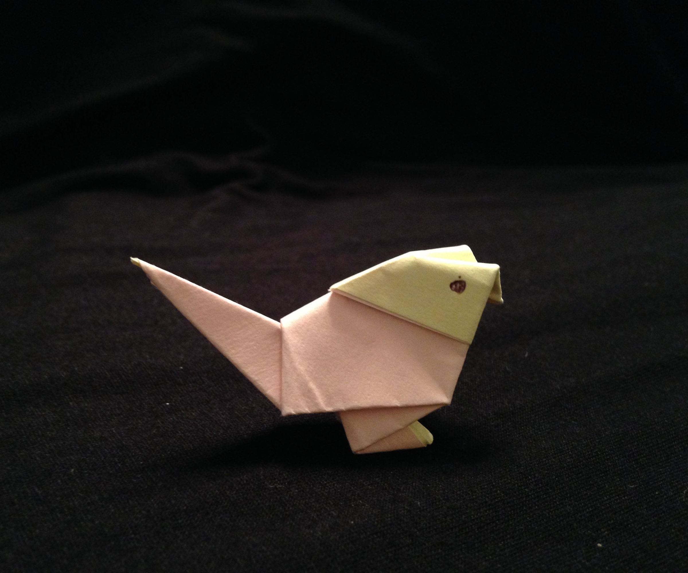 DIY guide for Two-Toned Origami Parrot with step-by-step instructions