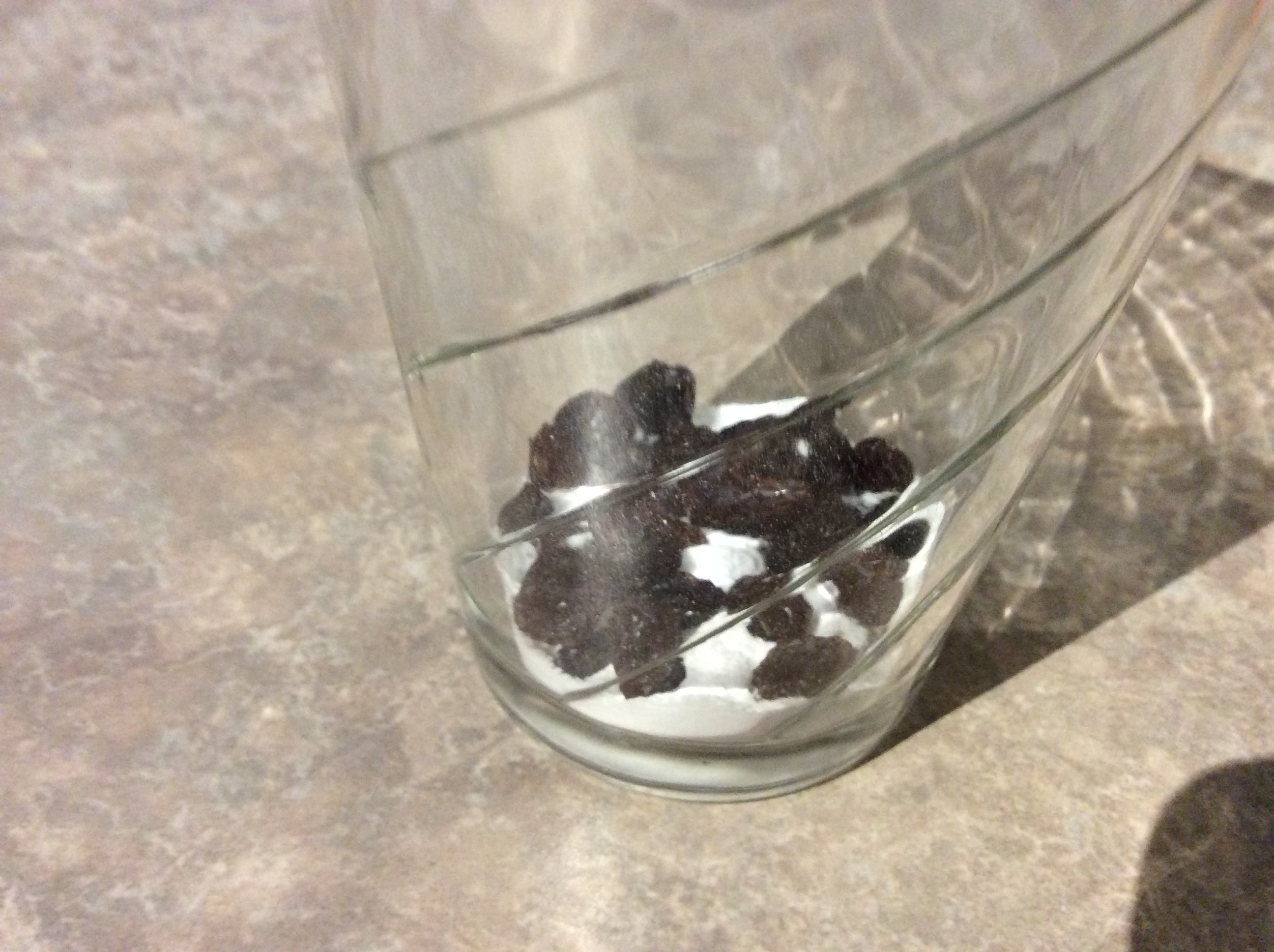 The Dancing Raisins Experiment 4 Steps (with Pictures) Instructables