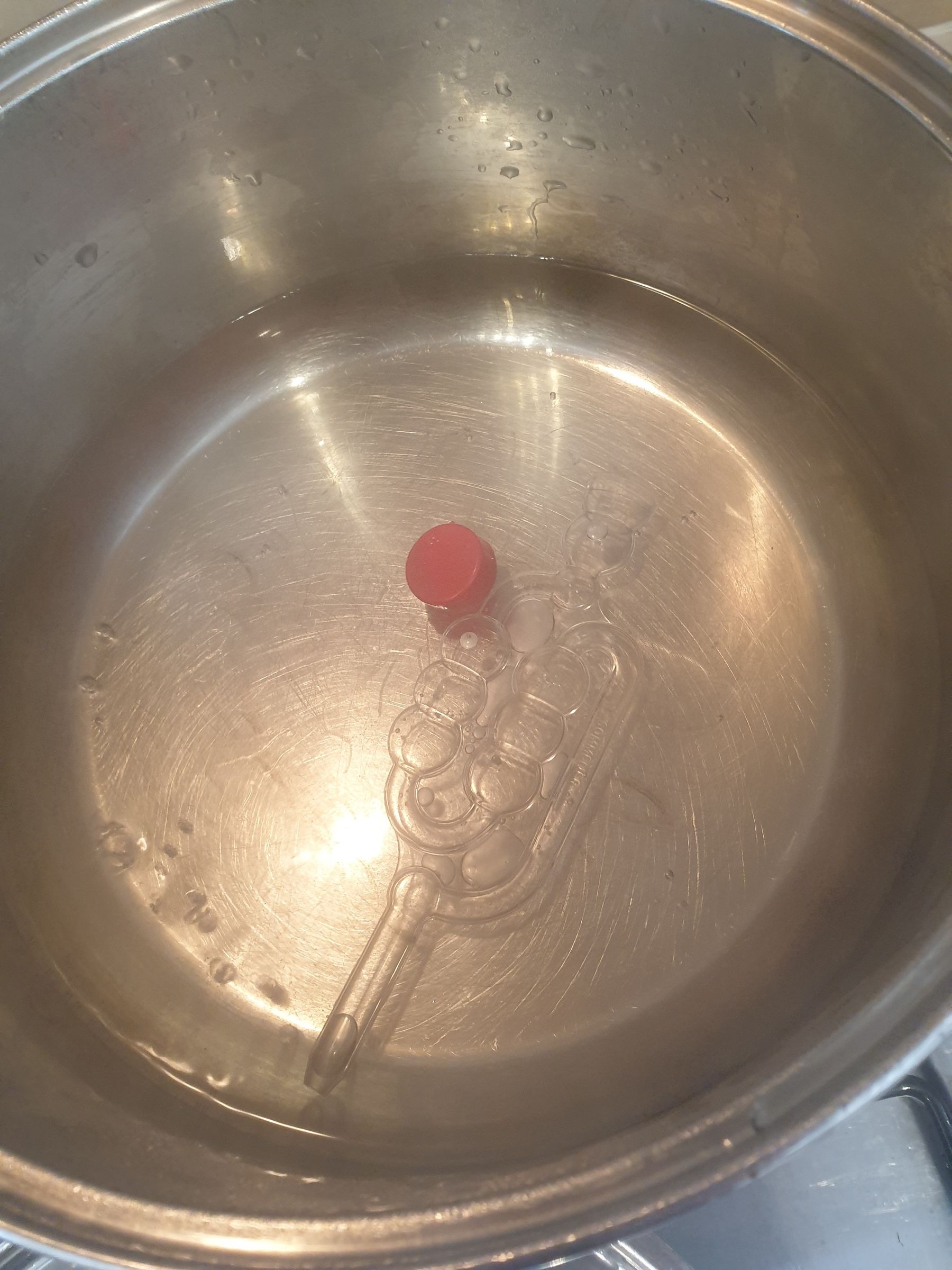 How to Make Your Own Wine From Grapes at Home 20 Steps (with Pictures