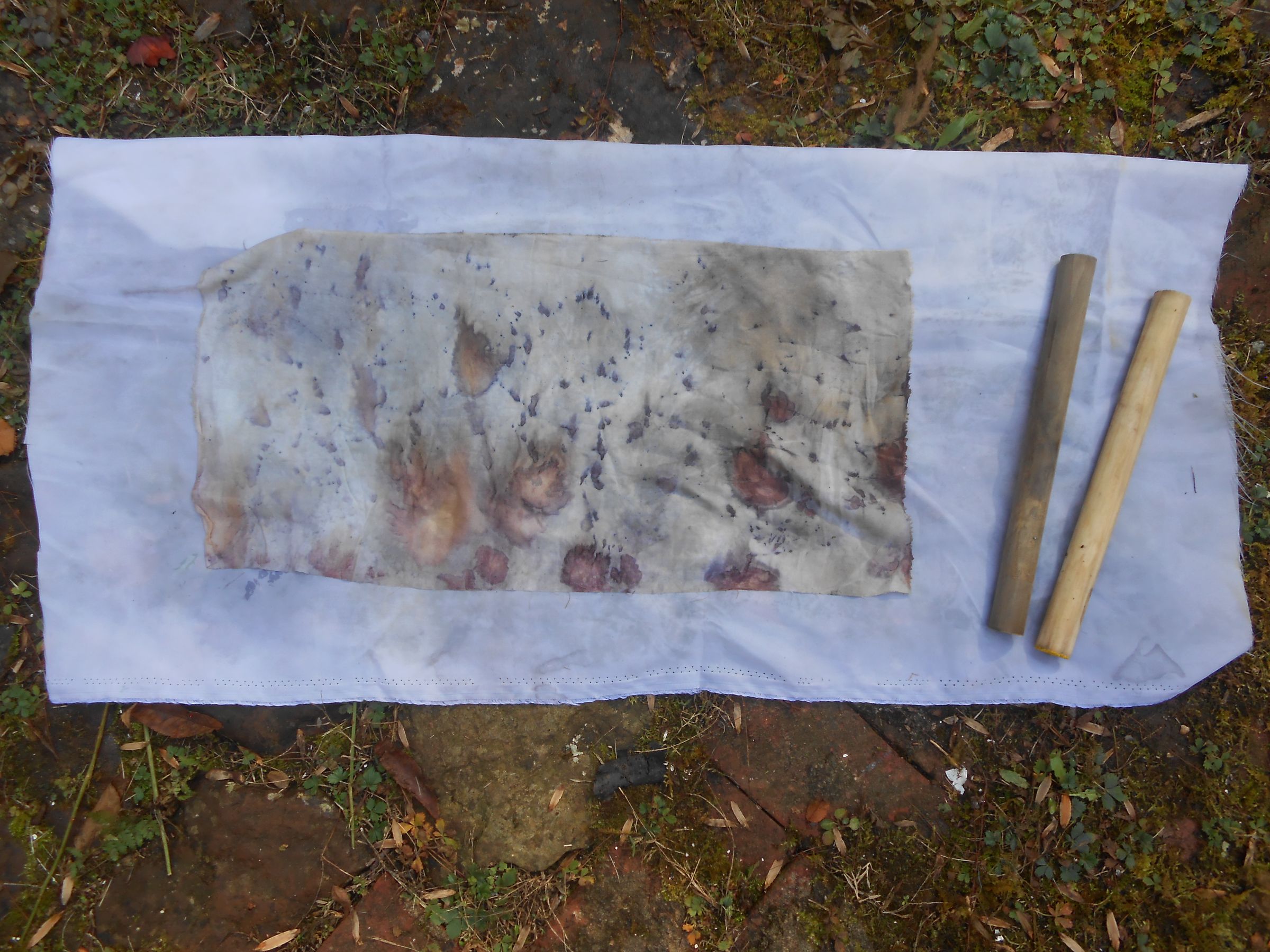 EcoPrinting With Rust & Vinegar 6 Steps (with Pictures) Instructables