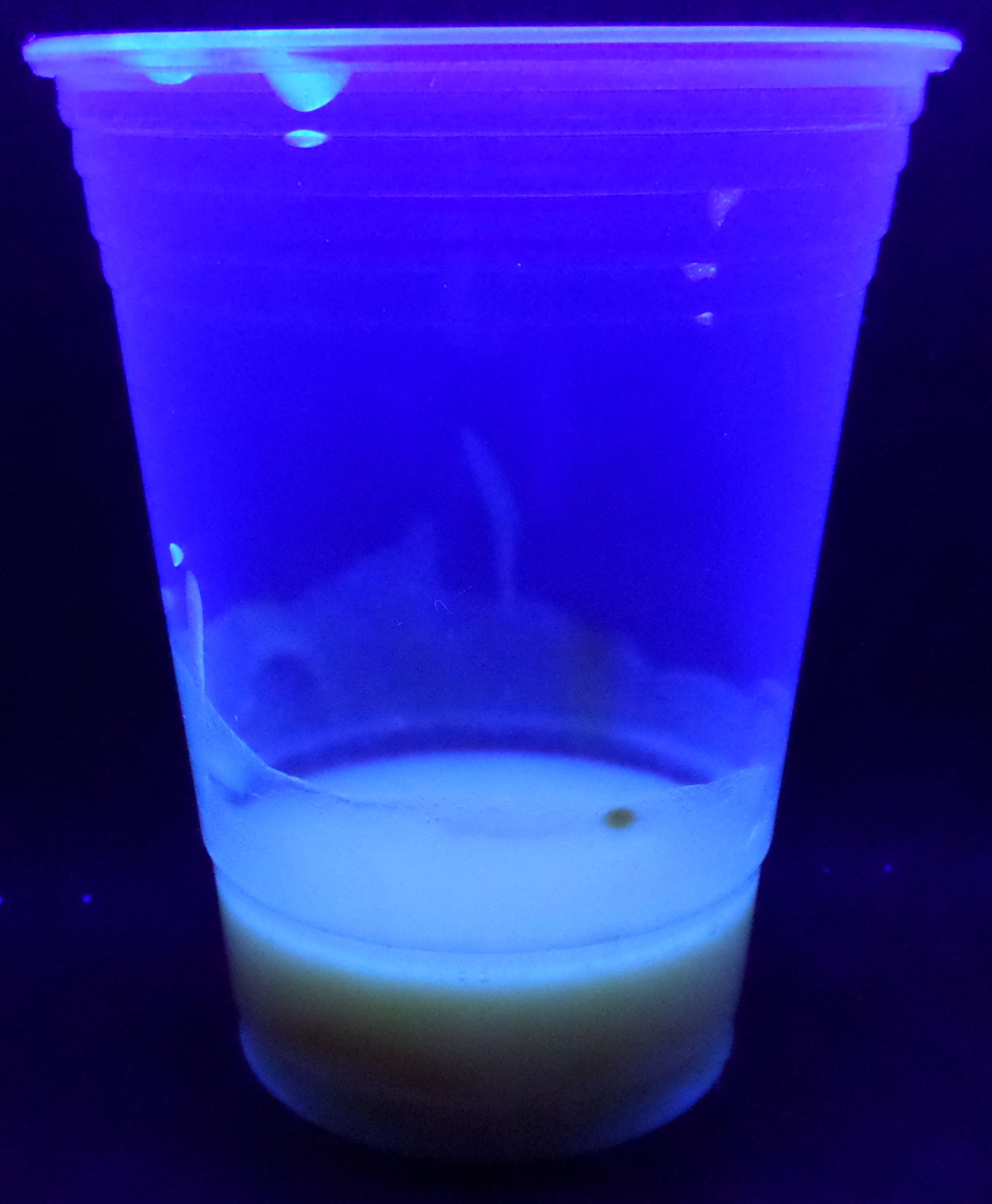 Glowing Edible Paint 7 Steps (with Pictures) Instructables