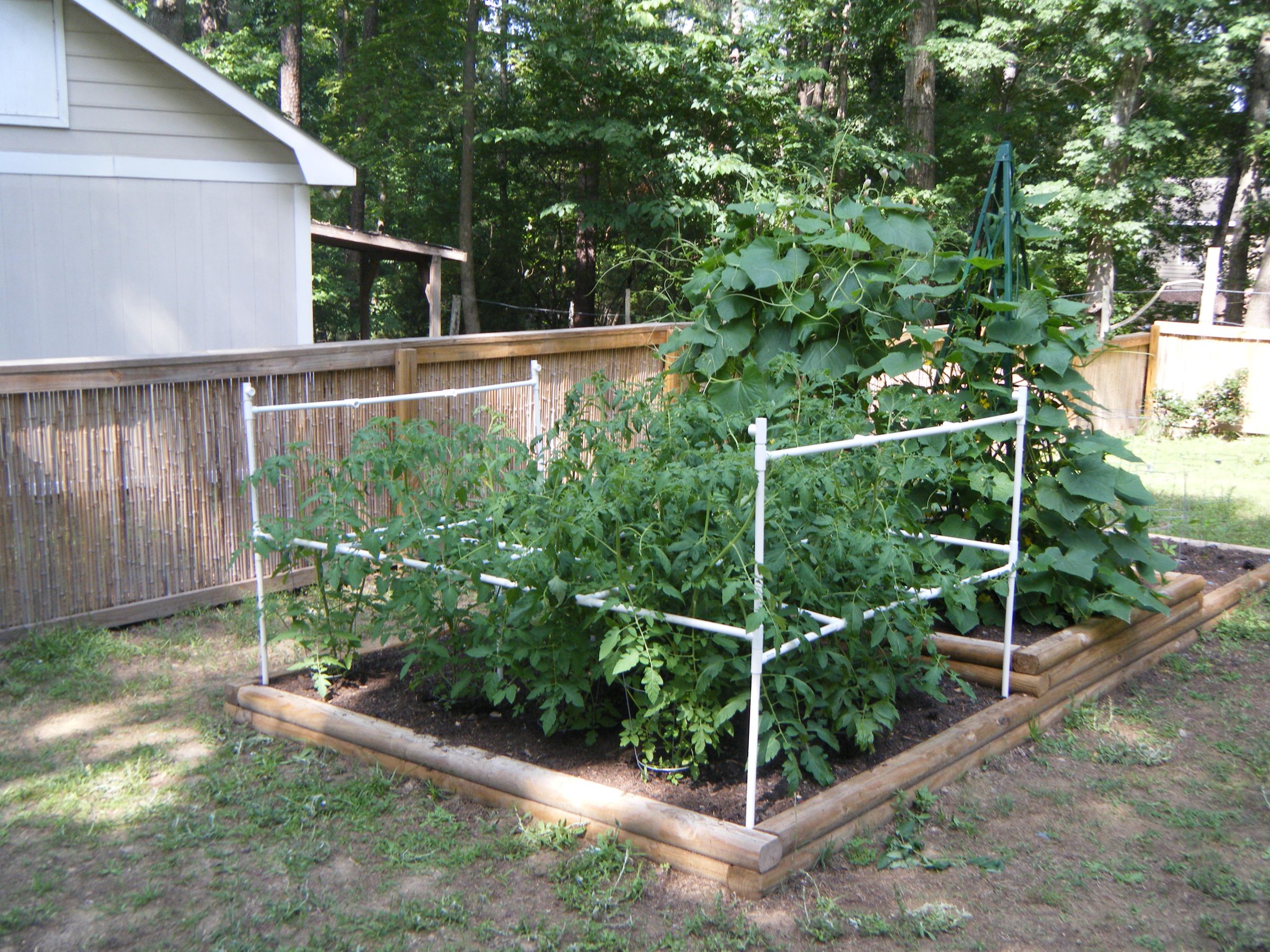 Tomato Cage With PVC 10 Steps Instructables