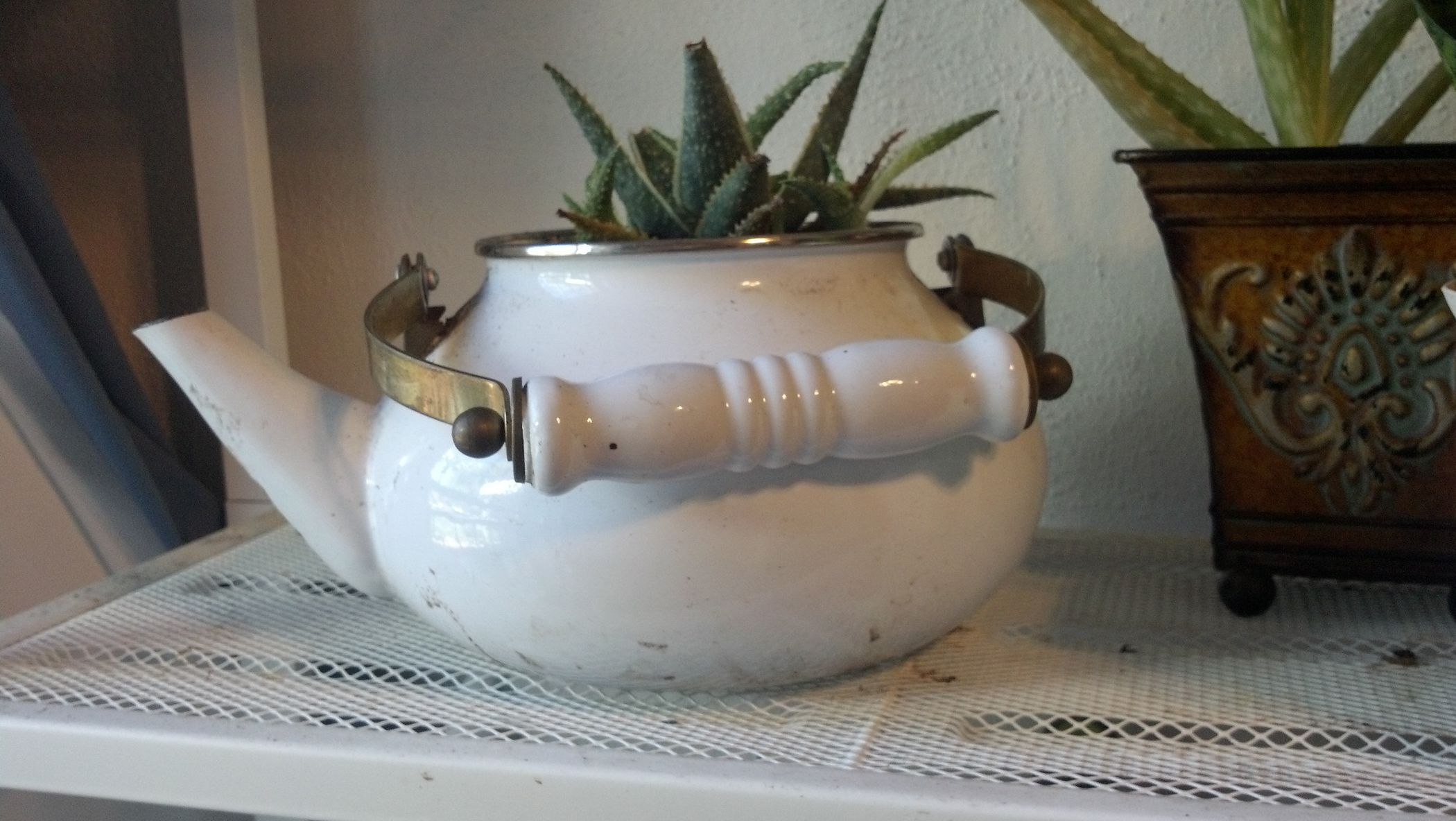 Upcycled Teapot Planters Instructables