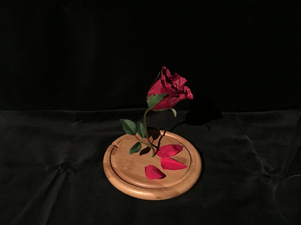 Enchanted Rose Beauty And The Beast 6 Steps With Pictures Instructables Enchanted Rose Beauty And The Beast 6 Steps With Pictures Instructables