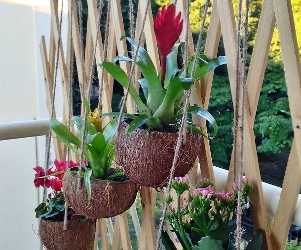 Coconut Pots