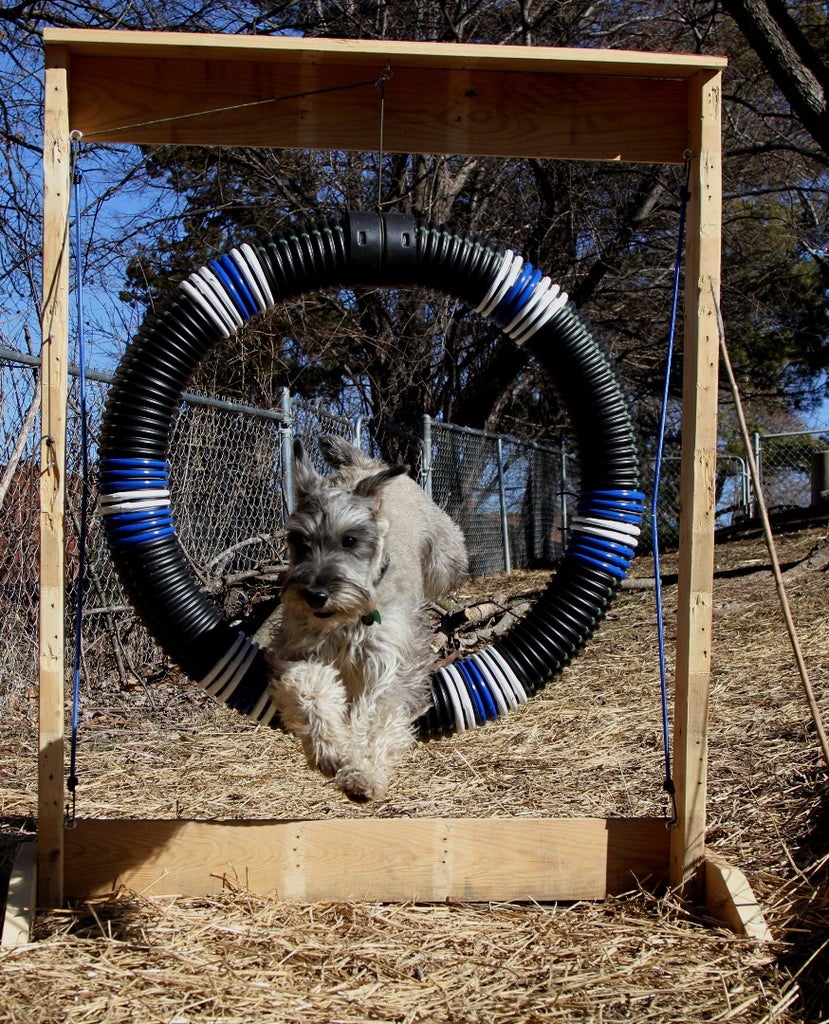 Diy Dog Agility Tire | Dog Agility Equipment Diy Easy Tire Jump - Youtube