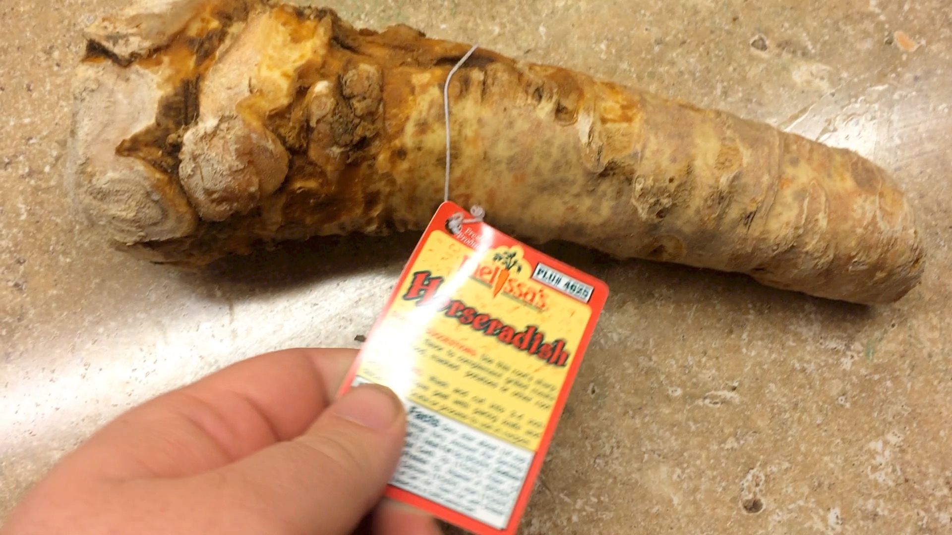 How to Grow Horseradish From a Root You Buy at the Grocery Store 5