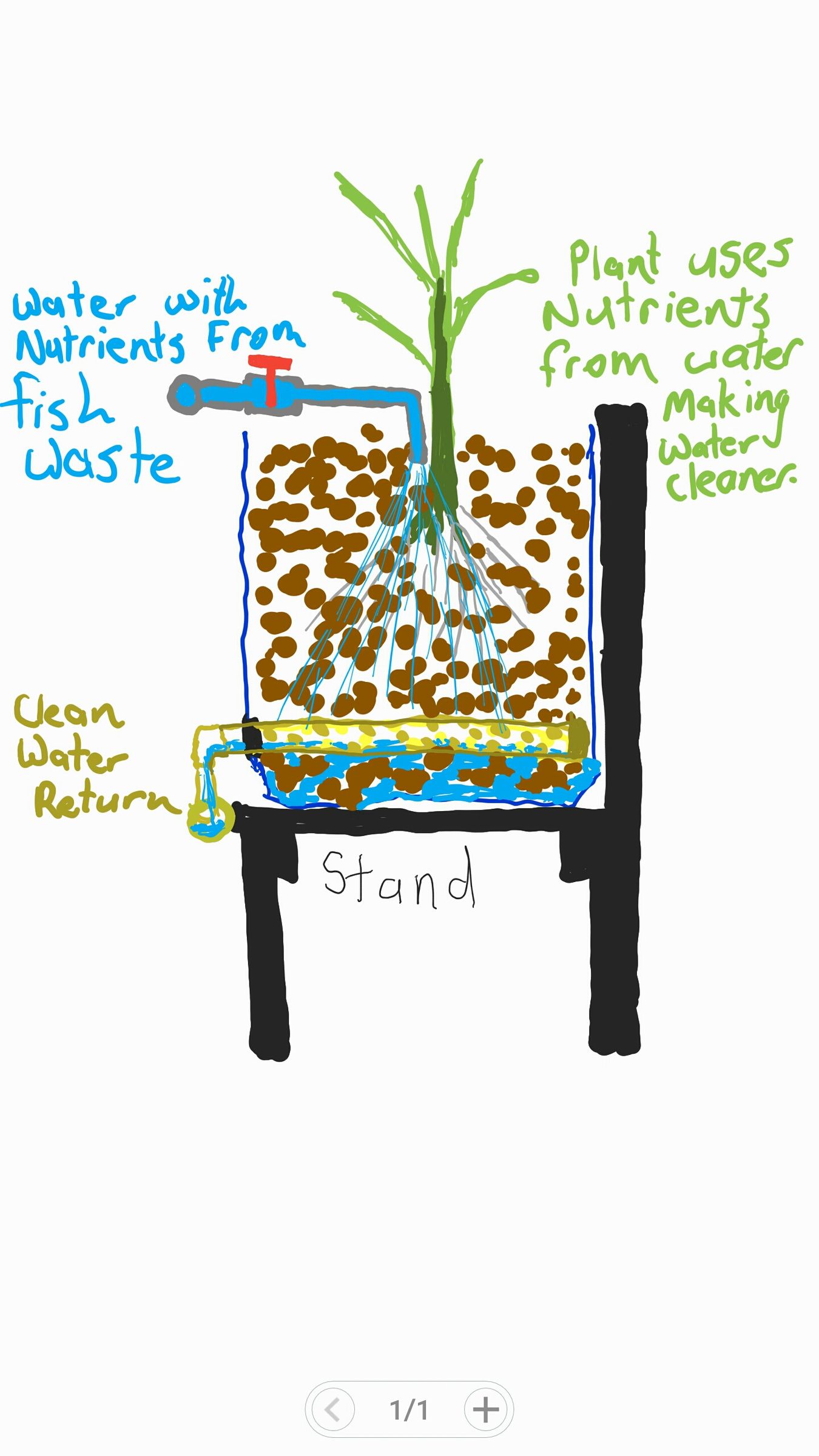 Fruit Trees in Aquaponics Using Dutch Buckets 6 Steps (with Pictures