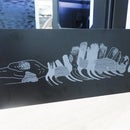 Etching Anodized Aluminum