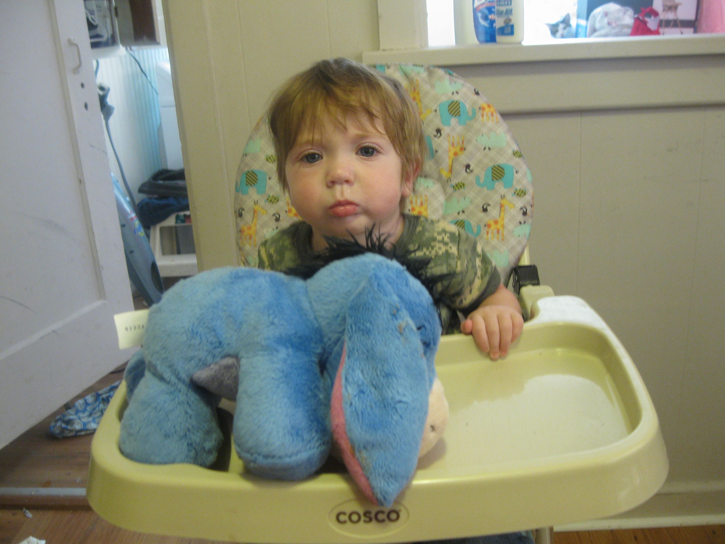 auto baby feeder