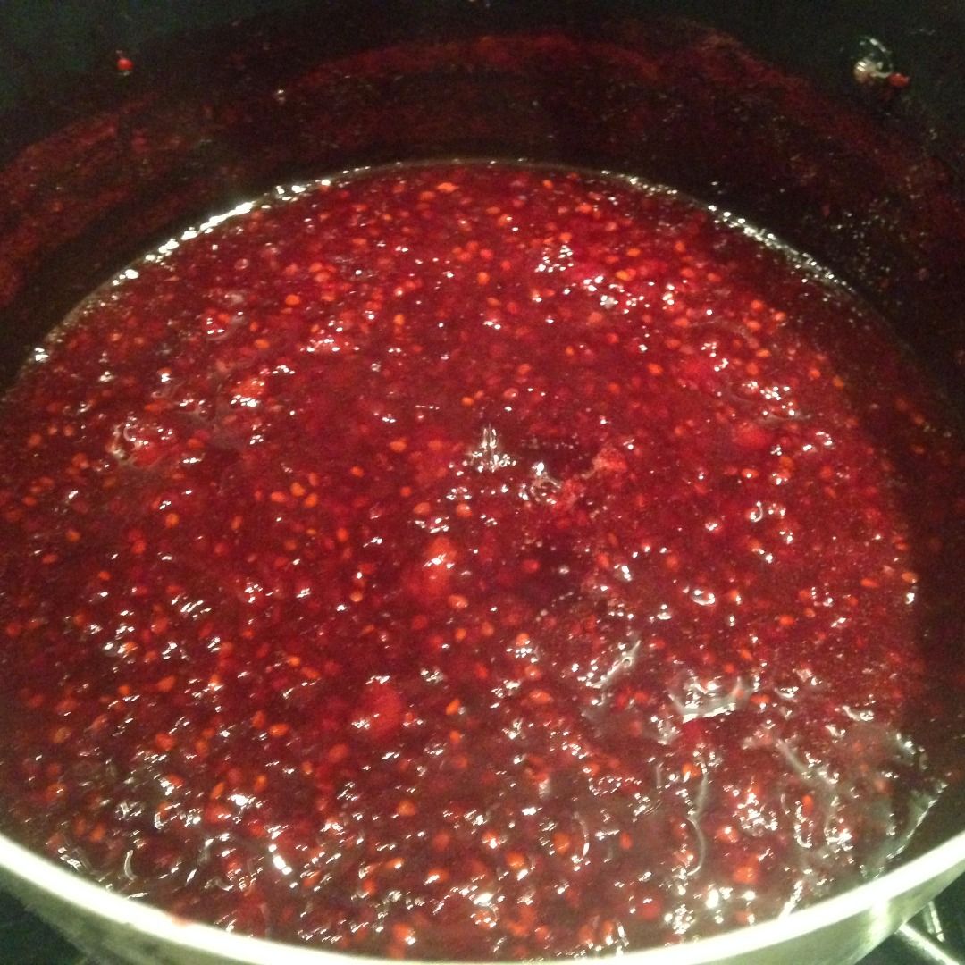 Blackberry Quick Jam 4 Steps (with Pictures) Instructables