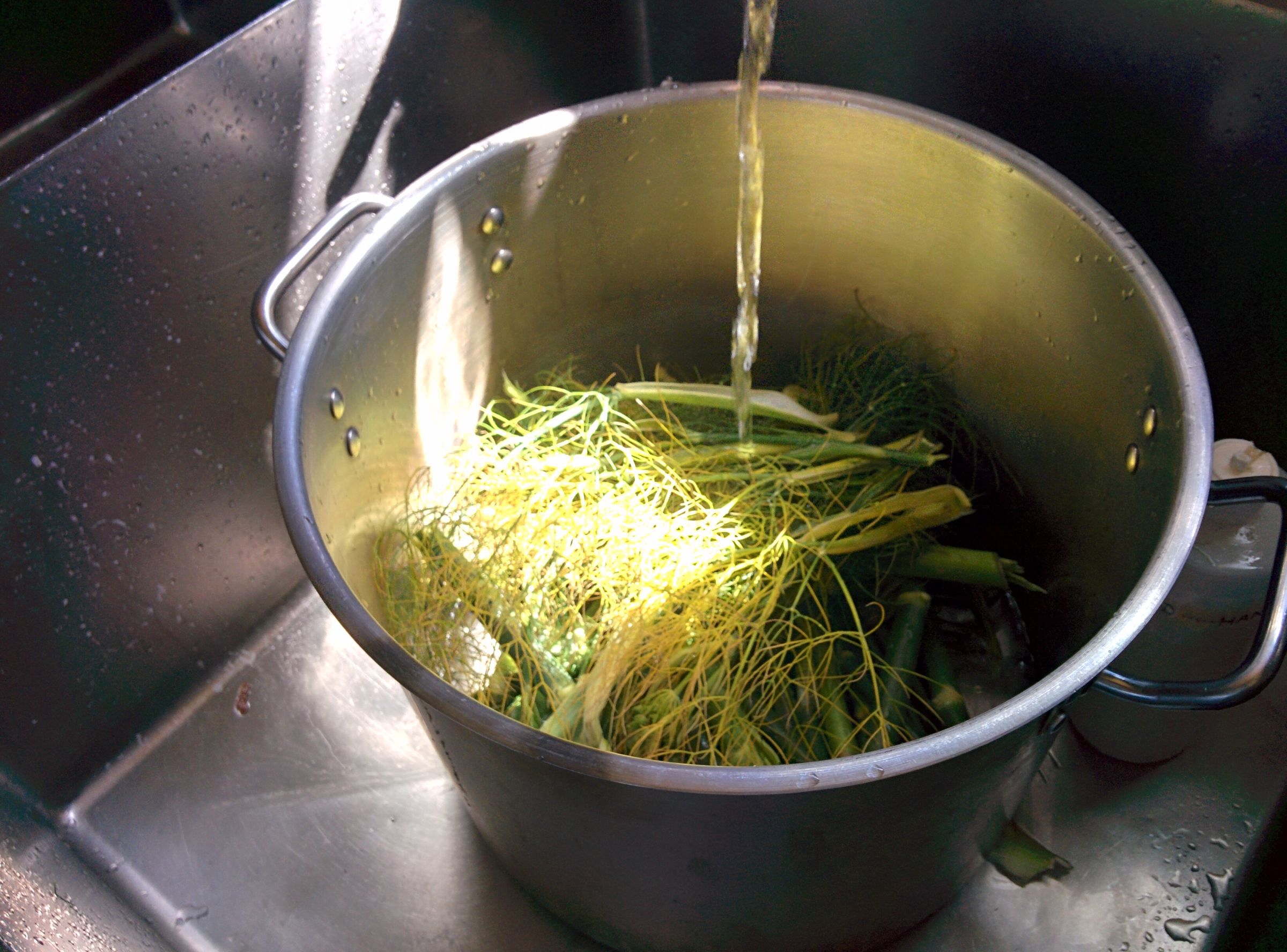 Fennel Stalk Soup Stock 3 Steps Instructables