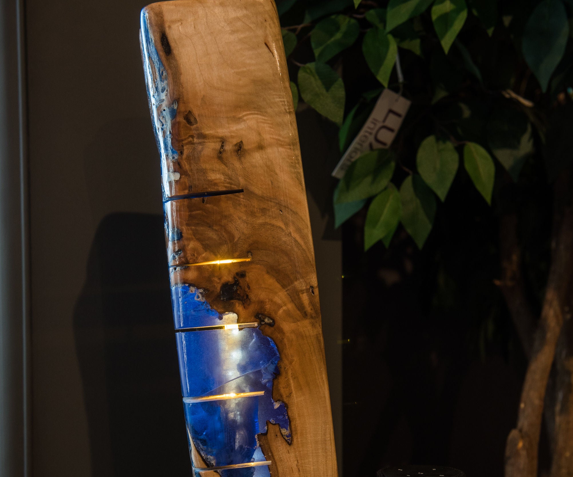 Wood and Resin Light 9 Steps (with Pictures) Instructables