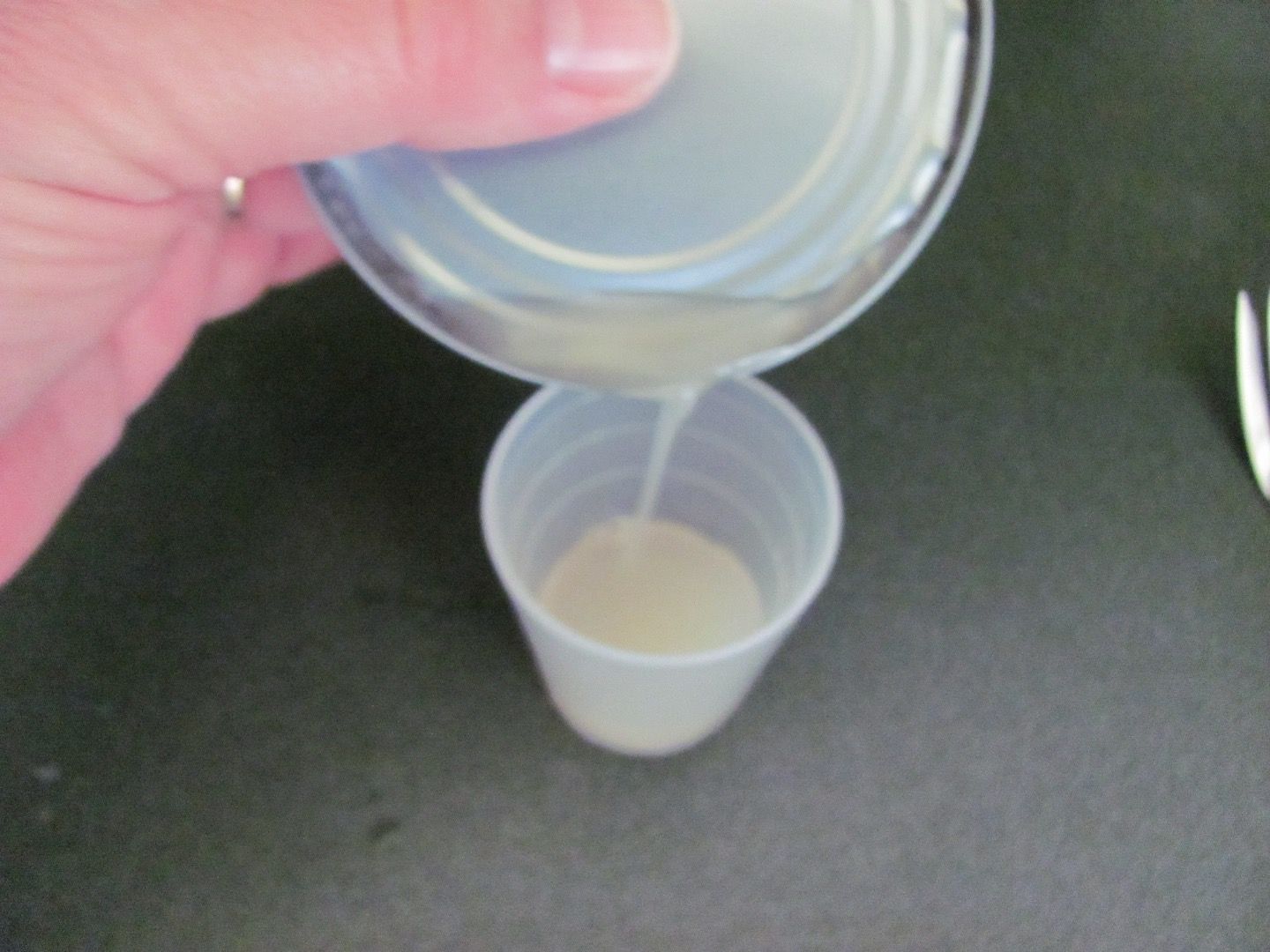 How to Give a Cat Liquid Medicine (with Pictures) Instructables