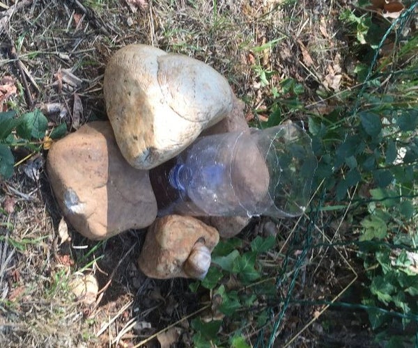 Campsite Critter Catcher