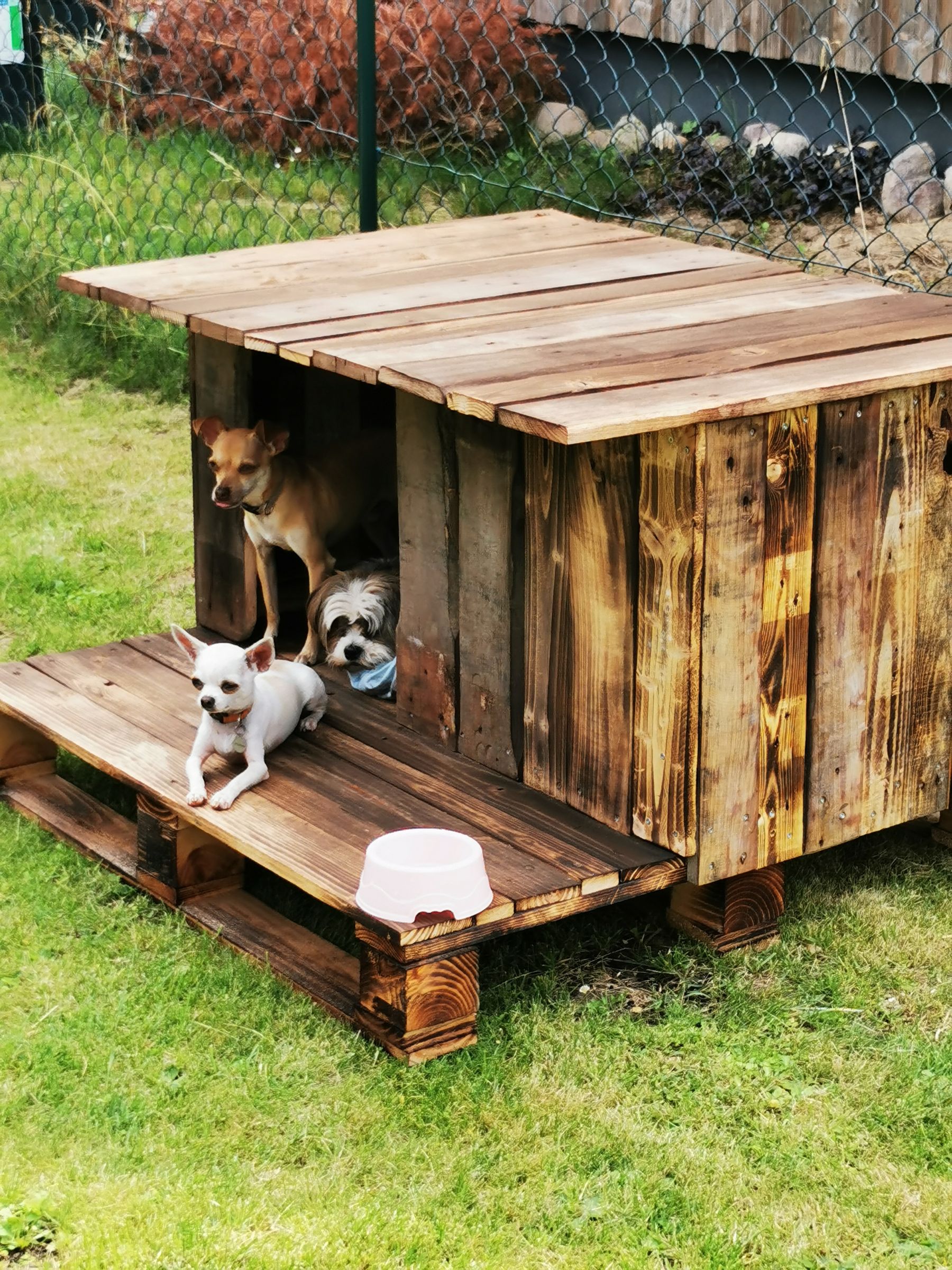 diy pallet dog kennel