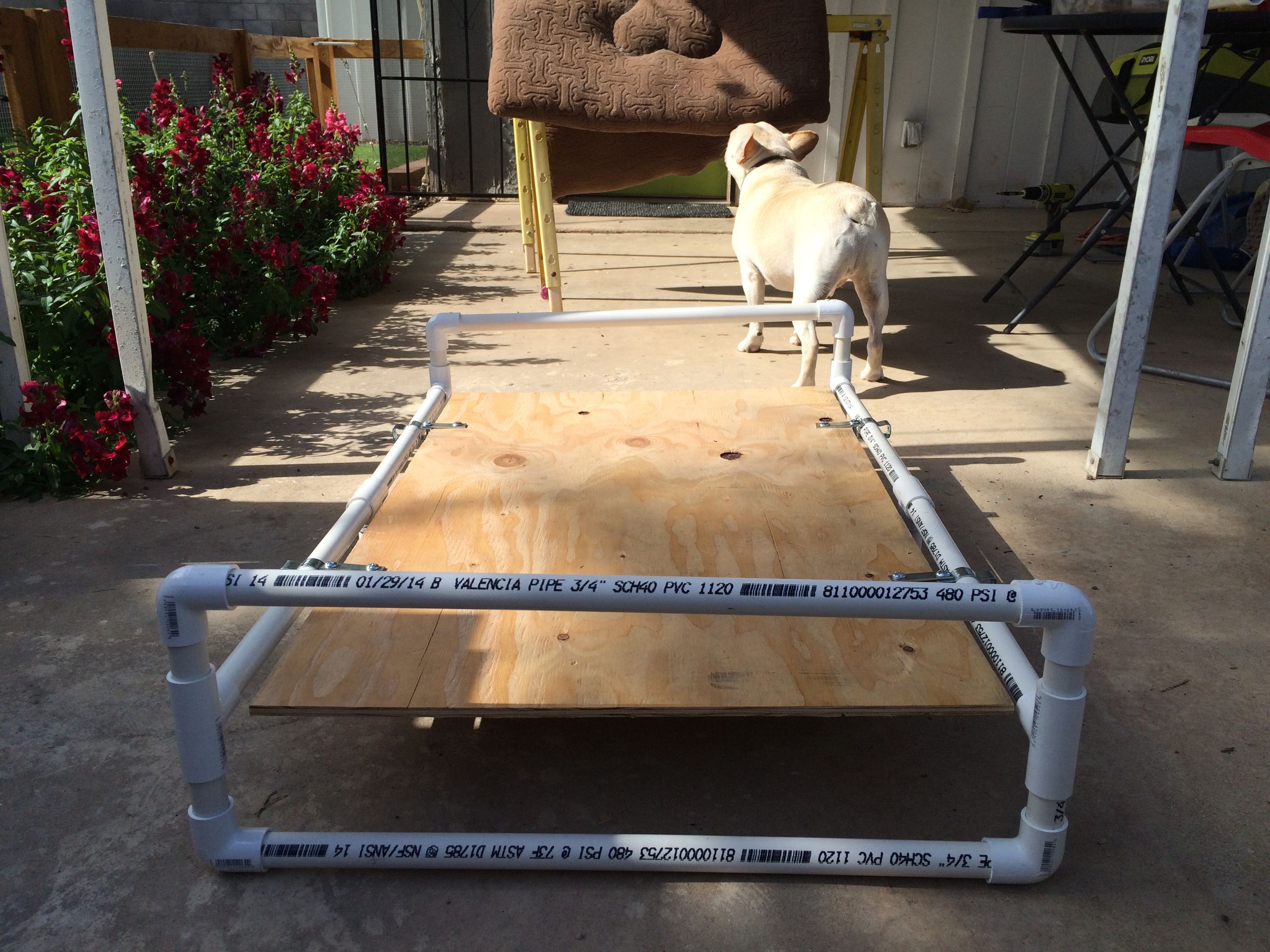 PVC Pipe Raised Dog Bed 7 Steps (with Pictures) Instructables
