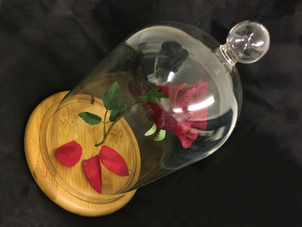 Enchanted Rose Beauty And The Beast 6 Steps With Pictures Instructables Enchanted Rose Beauty And The Beast 6 Steps With Pictures Instructables