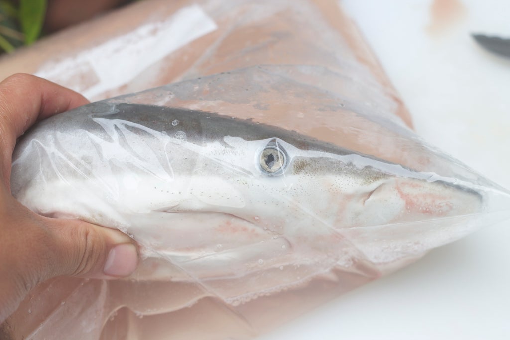 Preserving Shark Jaws And Skin From Start To Finish : 9 Steps (With  Pictures) - Instructables