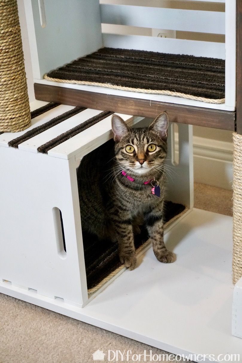crate cat tree