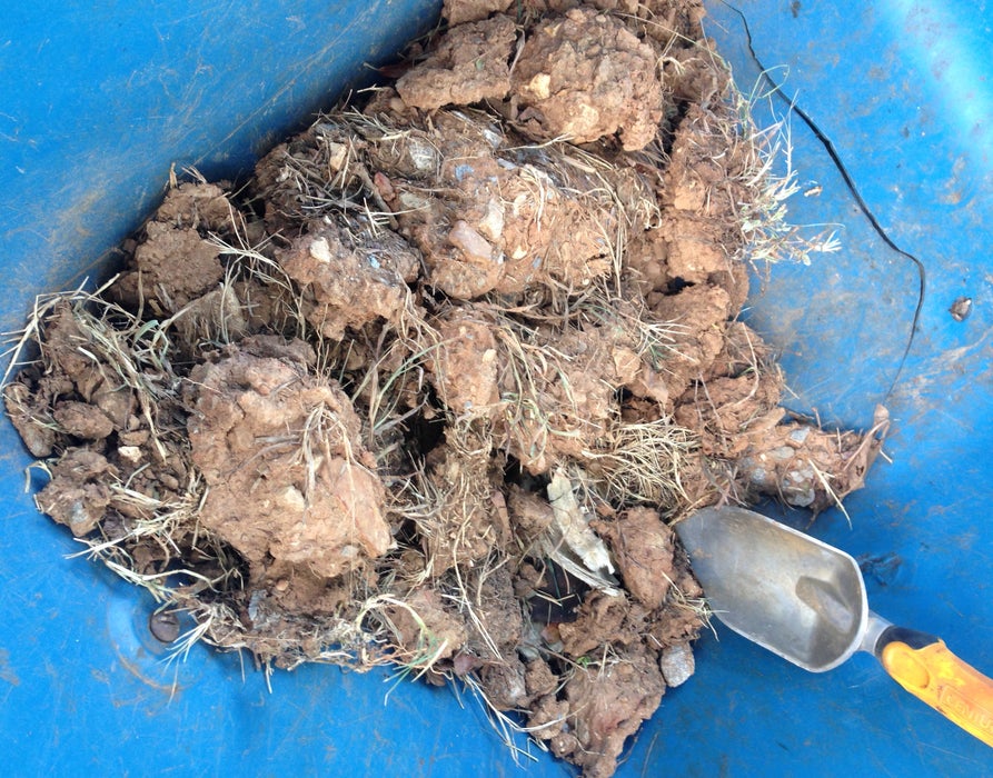 Going for Bulk - Colete e mergulhe a argila na água...