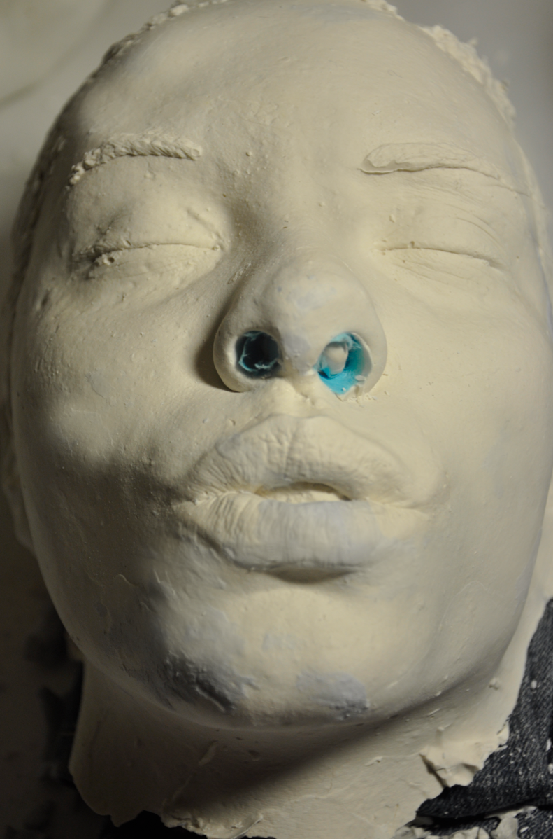 Alginate Mold Face 6 Steps (with Pictures) Instructables