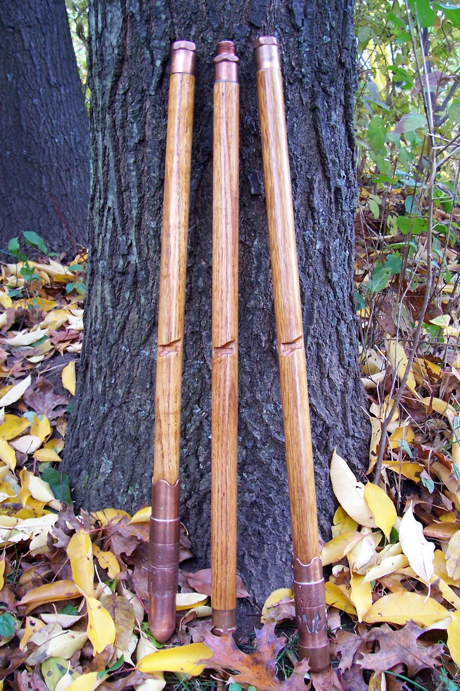 MultiFunction Walking Stick II Storage Compartment 10 Steps (with