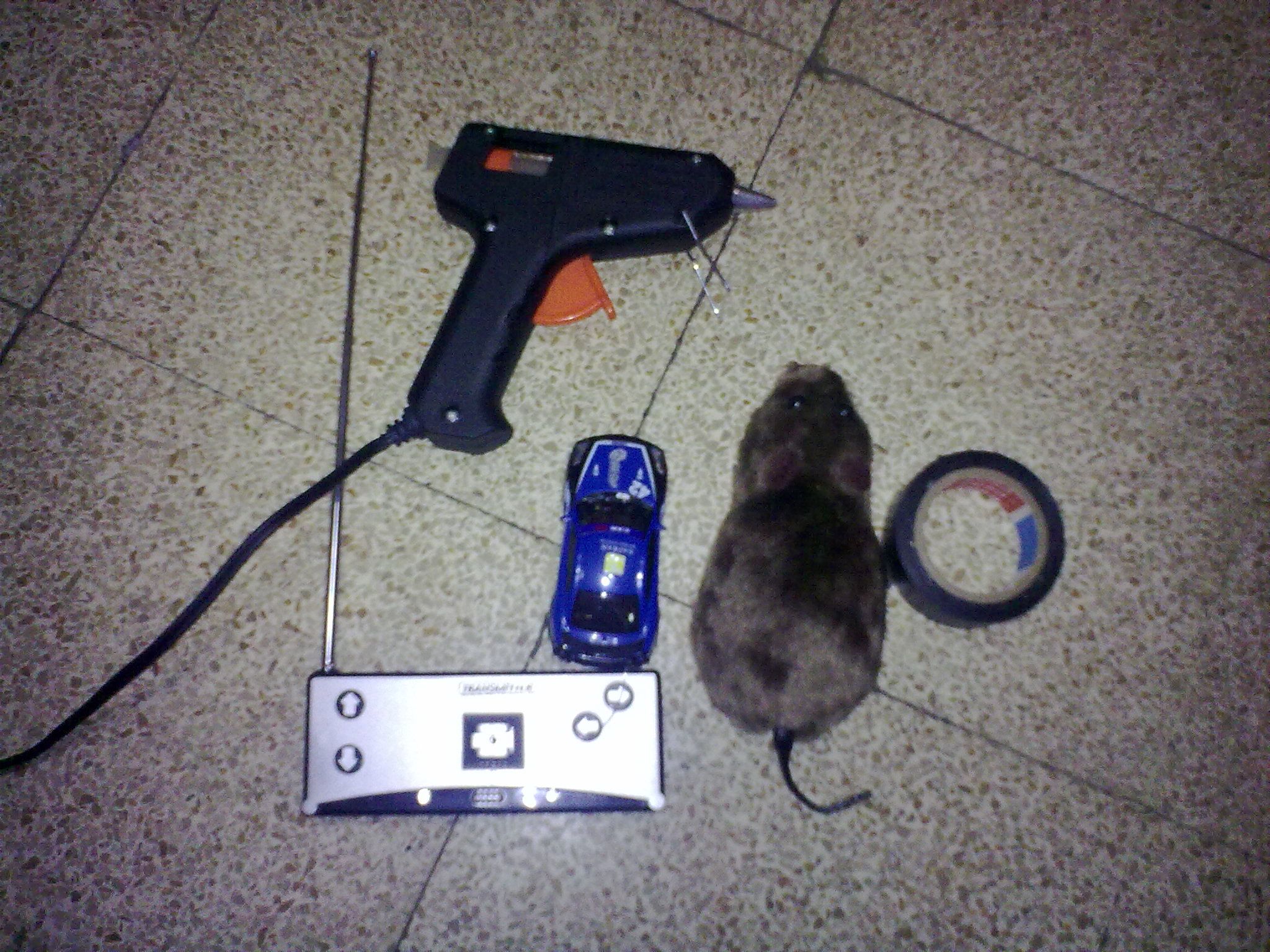 micro mouse cat toy